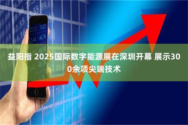 益阳指 2025国际数字能源展在深圳开幕 展示300余项尖端技术