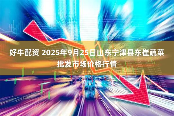 好牛配资 2025年9月25日山东宁津县东崔蔬菜批发市场价格行情