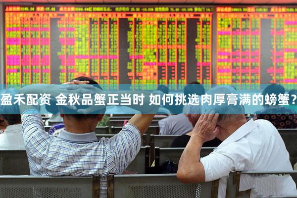 盈禾配资 金秋品蟹正当时 如何挑选肉厚膏满的螃蟹?