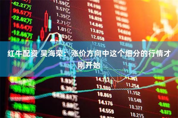 红牛配资 吴海荣：涨价方向中这个细分的行情才刚开始