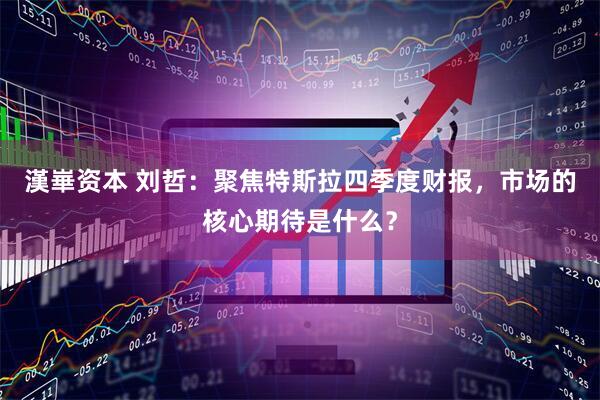 漢崋资本 刘哲：聚焦特斯拉四季度财报，市场的核心期待是什么？