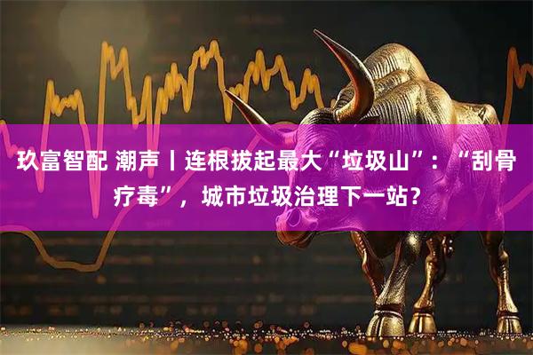 玖富智配 潮声丨连根拔起最大“垃圾山”：“刮骨疗毒”，城市垃圾治理下一站？