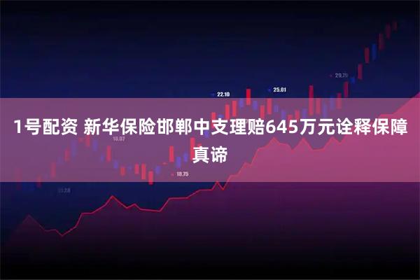1号配资 新华保险邯郸中支理赔645万元诠释保障真谛