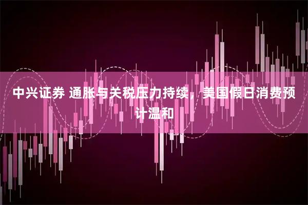 中兴证券 通胀与关税压力持续，美国假日消费预计温和