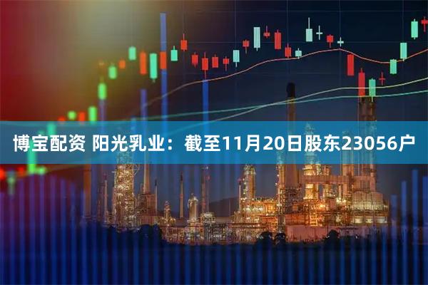 博宝配资 阳光乳业：截至11月20日股东23056户