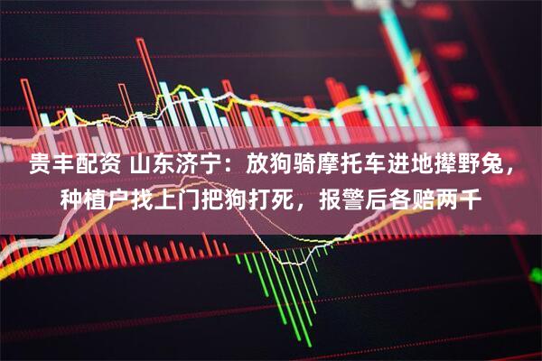 贵丰配资 山东济宁：放狗骑摩托车进地撵野兔，种植户找上门把狗打死，报警后各赔两千