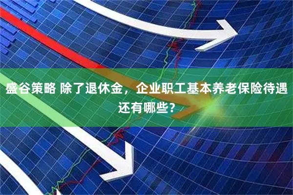 盛谷策略 除了退休金，企业职工基本养老保险待遇还有哪些？