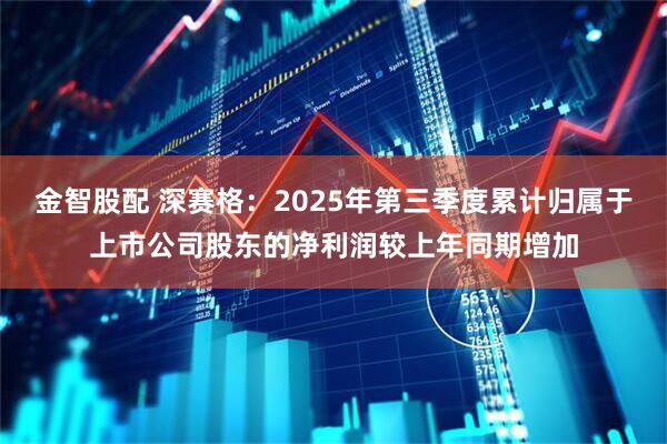 金智股配 深赛格：2025年第三季度累计归属于上市公司股东的净利润较上年同期增加