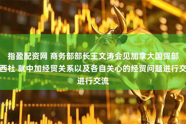 指盈配资网 商务部部长王文涛会见加拿大国贸部长西杜 就中加经贸关系以及各自关心的经贸问题进行交流
