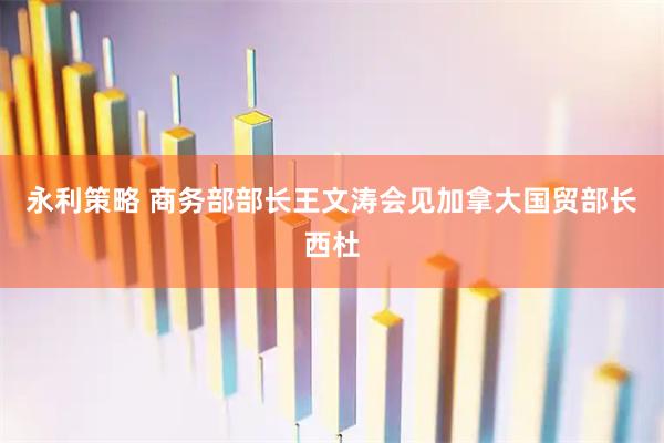 永利策略 商务部部长王文涛会见加拿大国贸部长西杜