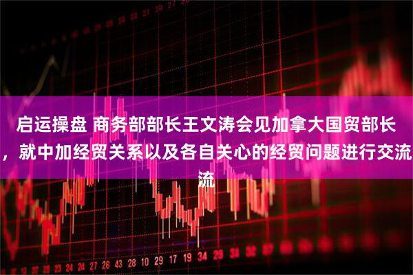 启运操盘 商务部部长王文涛会见加拿大国贸部长，就中加经贸关系以及各自关心的经贸问题进行交流