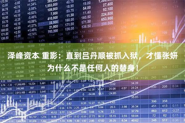 泽峰资本 重影：直到吕丹顺被抓入狱，才懂张妍为什么不是任何人的替身！