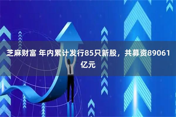 芝麻财富 年内累计发行85只新股，共募资89061亿元