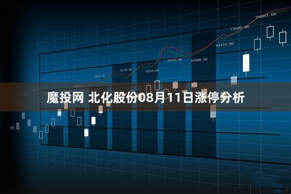 魔投网 北化股份08月11日涨停分析