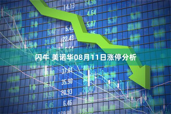 闪牛 美诺华08月11日涨停分析